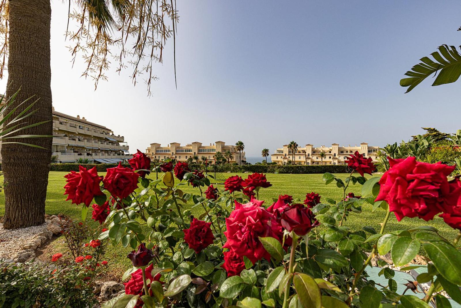 La Cala Gorgeous 2 Bedroom Apartment With Stunning Gardens, Pools And Sea Views El Faro Dış mekan fotoğraf